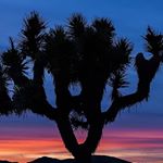 Profile Picture of Paul (@paulhphotos) on Instagram