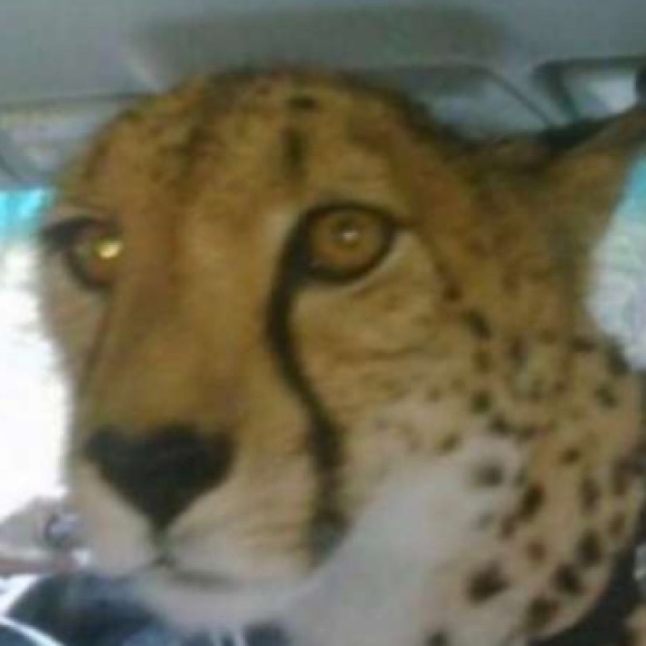 Profile Picture of Janet Mahlie (@janetmahlie) on Poshmark