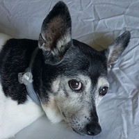 Profile Picture of Kendrick Jangdhari (@kendrick-jangdhari) on Quora