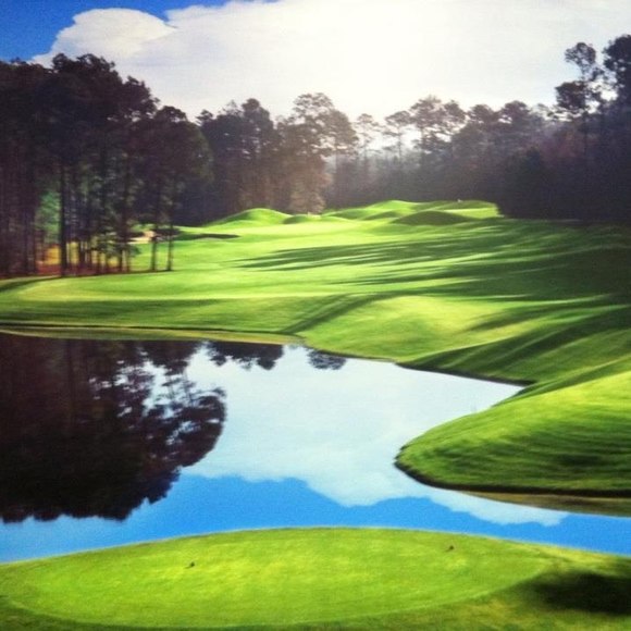 Profile Picture of Cidão Cidão (@noivoferreira) on Poshmark