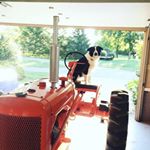 Profile Picture of Kevin Leichliter (@leichliterkevin) on Instagram