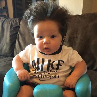 Profile Picture of Brian Ohl (@ohl_brian) on Twitter