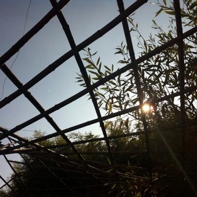 Profile Picture of Philip Zerr (@StrangeFart) on Twitter