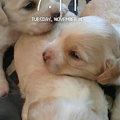 Profile Picture of Christopher Chavez (@christopherchavez3770) on Youtube