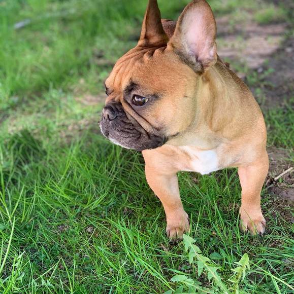 Profile Picture of Connie Bray (@conniebray90) on Poshmark