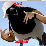 Profile Picture of Bird Dangler (@birddangler3697) on Youtube