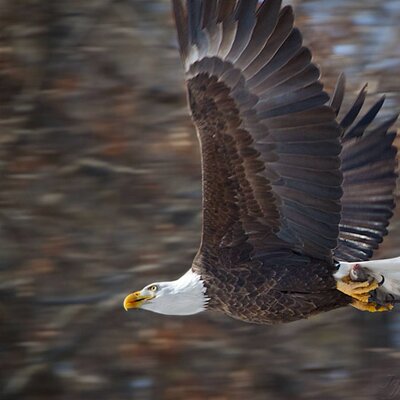 Profile Picture of Dave Estes (@MayorDave77) on Twitter