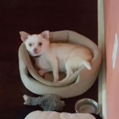 Profile Picture of Kyle P 14 (@KylePuckett19) on Twitter