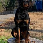 Profile Picture of sevier_jason (@sevier_jason) on Instagram