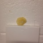 Profile Picture of chip And Dell (@chip_n_dell) on Instagram