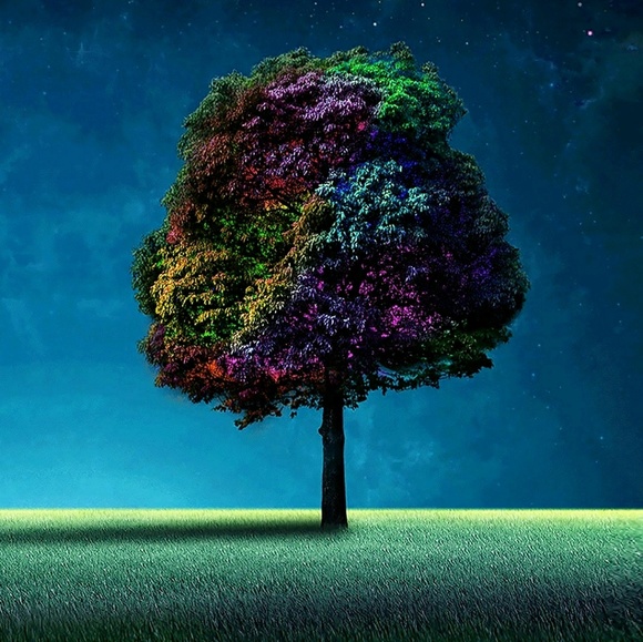 Profile Picture of Mason Watson (@gusboy) on Poshmark