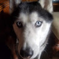 Profile Picture of Michelle Borrego (@michelle-borrego-2) on Quora