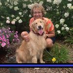 Profile Picture of Kim Laidlaw (@lkimbabs) on Instagram