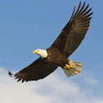 Profile Picture of Roberto Passerani (@robertopasserani) on Instagram