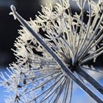 Profile Picture of JASON (@jasongianinokne3) on Instagram