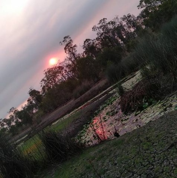 Profile Picture of Tahlia Bergerson (@tahlia540) on Poshmark