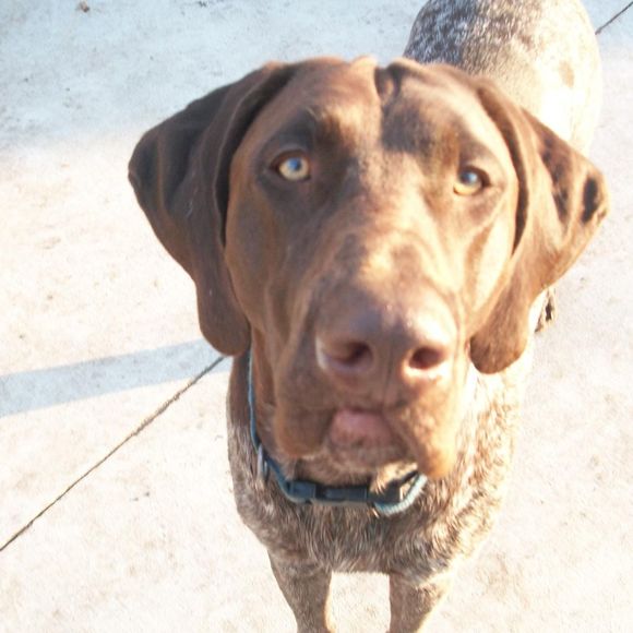 Brenda Eland - Poshmark Profile Picture of Brenda Eland (@ble659) on Poshmark