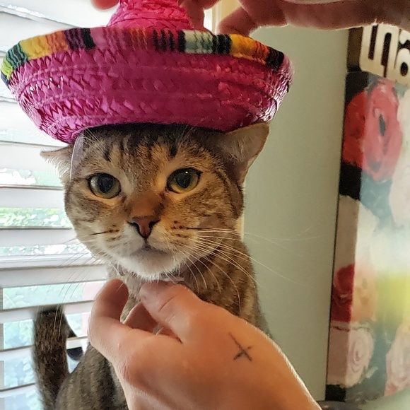 Profile Picture of Ethan Bryant (@ethanbry27) on Poshmark