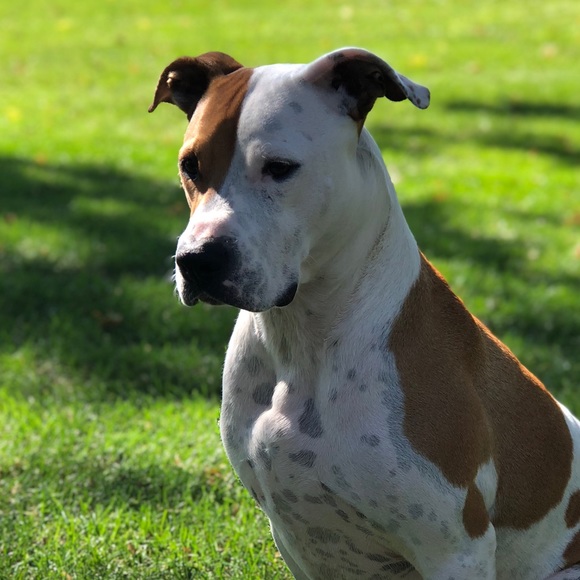 Profile Picture of Klerissa Church (@klerissachurch) on Poshmark