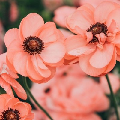 Profile Picture of Monica Ramirez (@Monicamydear) on Twitter