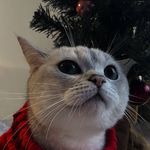 Profile Picture of ♡𝓐𝓵𝓮𝔁𝓪𝓷𝓭𝓻𝓪 𝓡𝓸𝓶𝓪𝓷𝔂𝓾𝓴♡ (@aleks.rmnk17) on Instagram