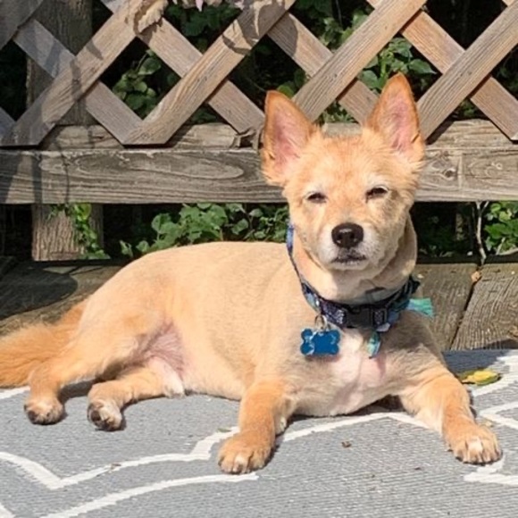 Profile Picture of Eleanor Grasso (@ele32065) on Poshmark