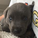Profile Picture of Grayson Wolfe (@grayson_wolfe_) on Instagram