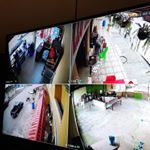 Profile Picture of Steveb orellana (@steveborellana) on Instagram