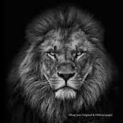 Profile Picture of Leo Hunt (@leogoeshunting) on Twitter