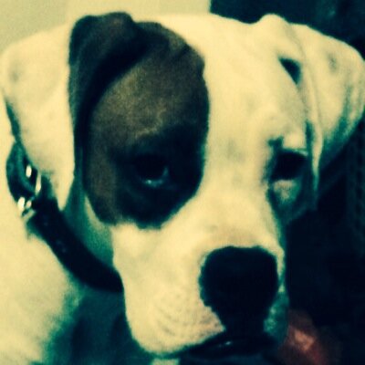 Cesar Bolanos Garcia - Twitter Profile Picture of Cesar Bolanos Garcia (@juliusmarinus) on Twitter