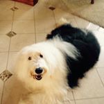 Profile Picture of Chris Cone (@cone8931) on Instagram