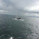 Profile Picture of Robert Burbidge (@8754wx) on Instagram