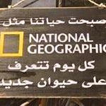 Profile Picture of Mohammed AlEid (@aleid.mohammed) on Instagram