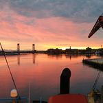 Profile Picture of Matthew Bilich (@matthewbilich) on Instagram