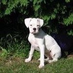 Profile Picture of Lisa Hoberg Hastings (@lisahh554) on Instagram