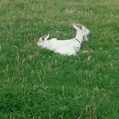 Profile Picture of Jason Boon (@jason_boon1) on Twitter