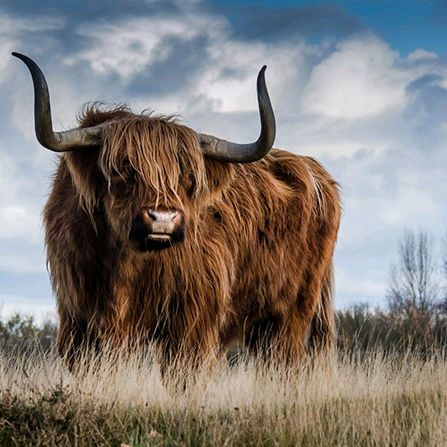 Profile Picture of barryhentz11 (@barryhentz11) on Tiktok