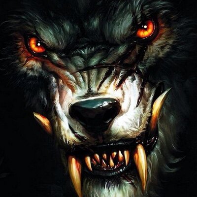 Jared Greenwald - Twitter Profile Picture of Jared Greenwald (@greenwald7) on Twitter