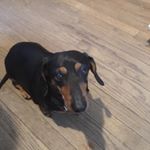 Profile Picture of Taylor May Shackelford (@fothermucker_4life) on Instagram
