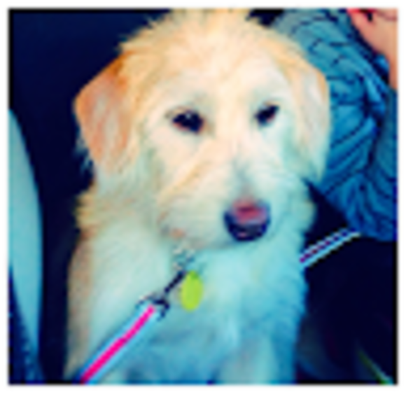 Profile Picture of Michelle Gouthro (@msgouthro) on Poshmark