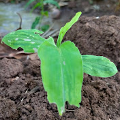 Profile Picture of Richard Joachim (@ChardMshandete) on Youtube