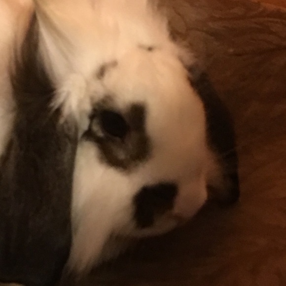 Profile Picture of Gisel Diaz (@giseldiaz) on Poshmark