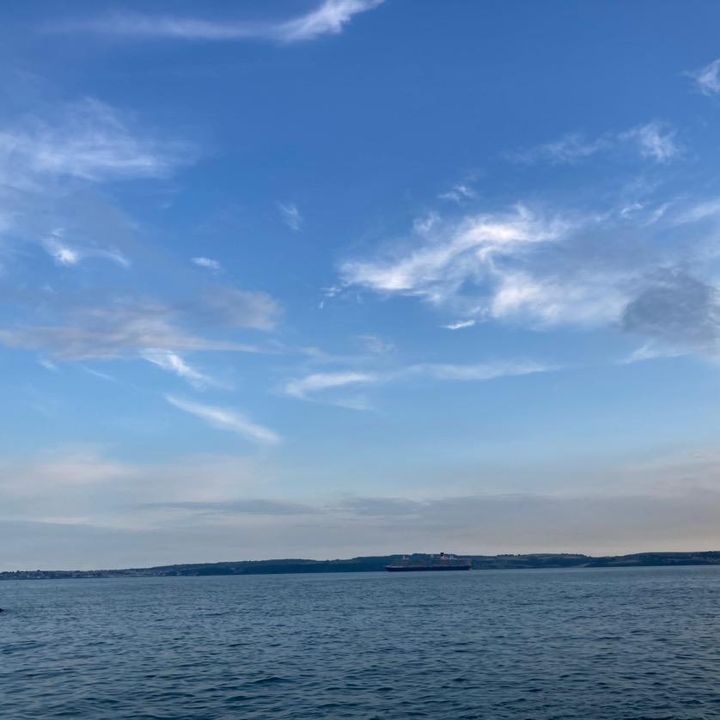 Profile Picture of carriedavey521 (@carriedavey521) on Tiktok