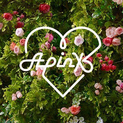 Profile Picture of Apink 에이핑크 (@Apink_2011) on Twitter