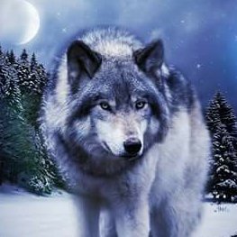Profile Picture of Lisa Crider (@lisacrider280) on Twitter