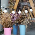 Profile Picture of Pearl🍑🔥 (@pearlchouhan7) on Instagram