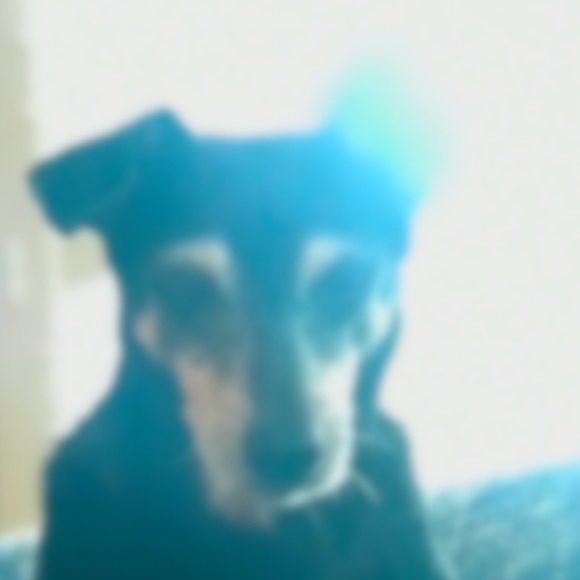 Profile Picture of Joelma Gouveia (@joelma675) on Poshmark