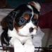 Profile Picture of Benjamin Wicks (@benjamin.wicks.5) on Facebook