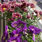 Profile Picture of Doris Stojanovic (@Doris-Stojanovic) on Facebook