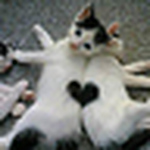 Profile Picture of James, Grace Murphy, Balentine (@VonLoveCub) on Flickr